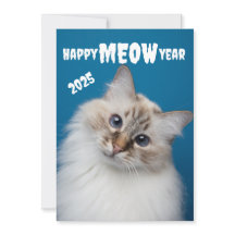 Bonne année MIAOU  Carte de vacances de chat migno