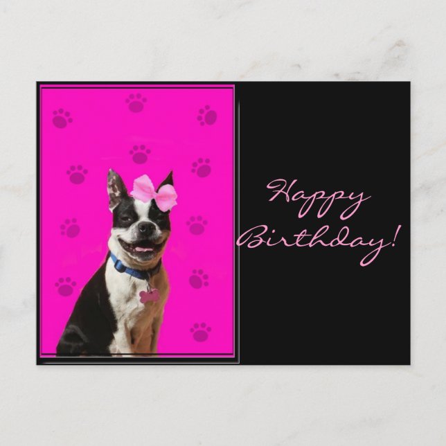 Bonne Anniversaire Boston Terrier carte postale (Devant)