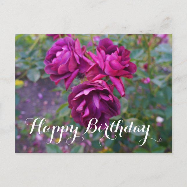 Bonne Anniversaire Bourgogne Rose Iceberg #3 Carte (Devant)