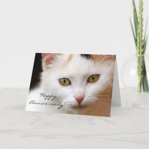 Bonne Anniversaire Carte de voeux chat blanc