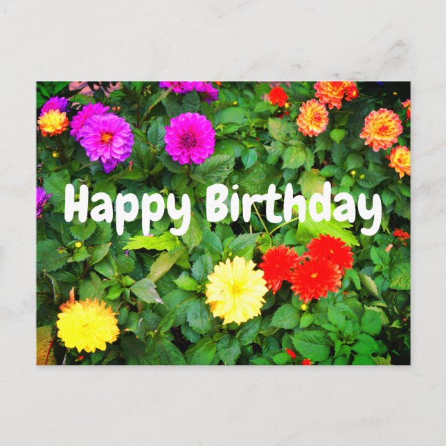 Bonne Anniversaire Diverses Dahlias #1 Carte posta (Devant)