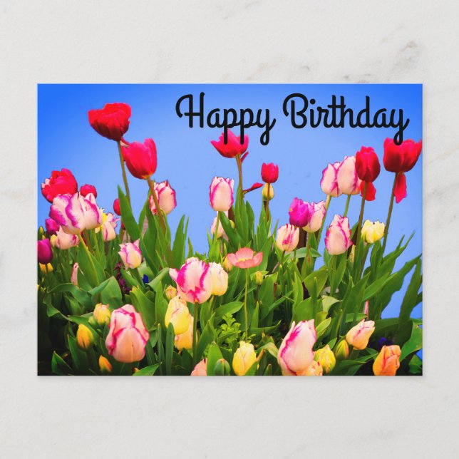 Bonne Anniversaire Diverses Tulipes #3 Carte posta (Devant)
