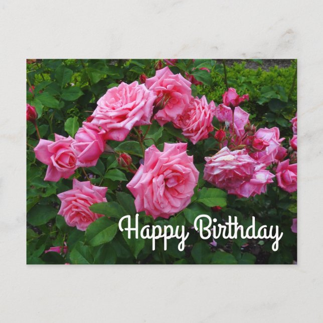 Bonne Anniversaire Gene Boerner Rose #2 Carte post (Devant)