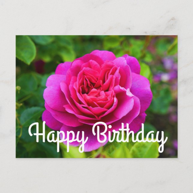Bonne Anniversaire Princesse Anne Rose #1 Carte po (Devant)