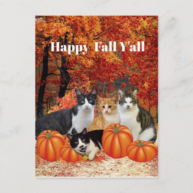 Bonne Automne Y'all Chats et Citrouilles Carte pos (Devant)