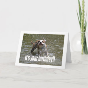 BONNE CARTE AMOUREUX DES CHIENS D'ANNIVERSAIRE