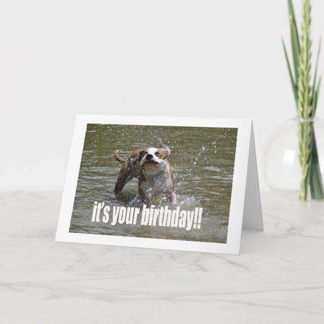 BONNE CARTE AMOUREUX DES CHIENS D'ANNIVERSAIRE (Devant)