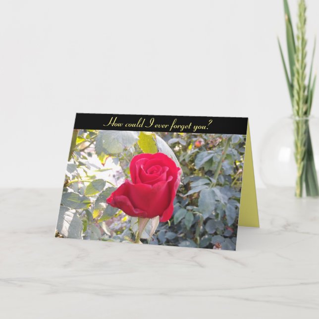 Bonne carte Anniversaire - rouge rose drôle (Devant)