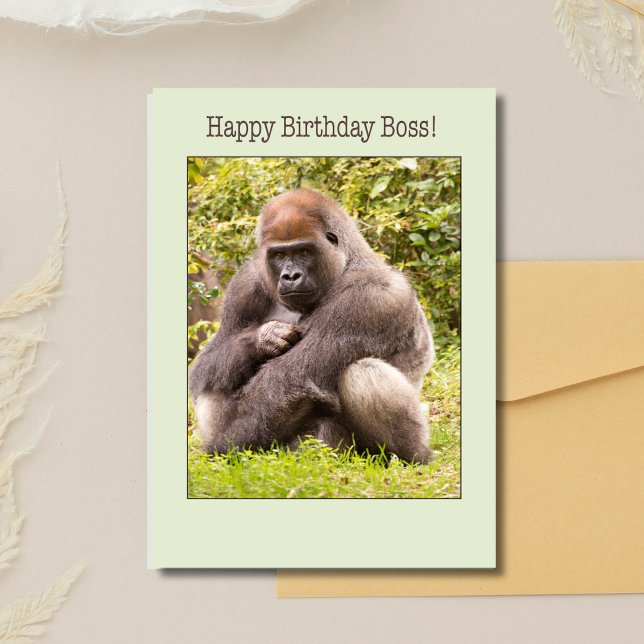 Bonne Carte Boss Gorilla Anniversaire En Nature (Créateur téléchargé)