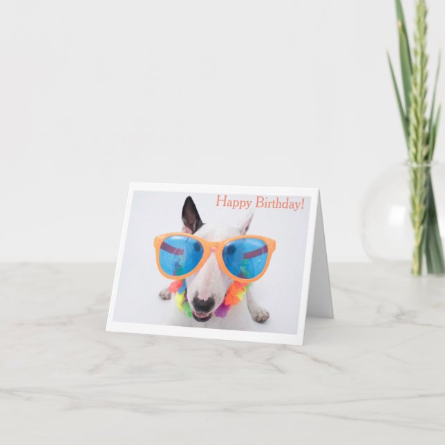 Bonne carte Bull Terrier Anniversaire (Devant)
