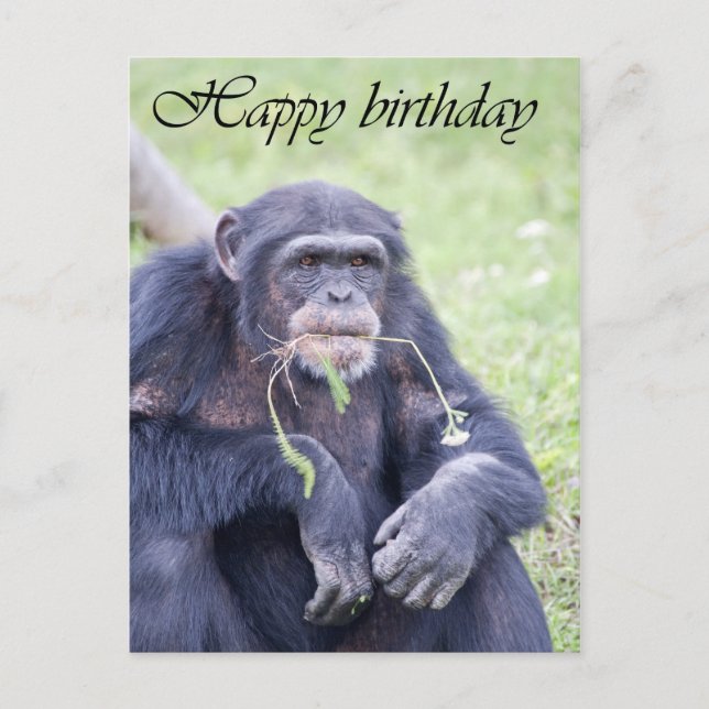 Bonne carte d'anniversaire (Devant)