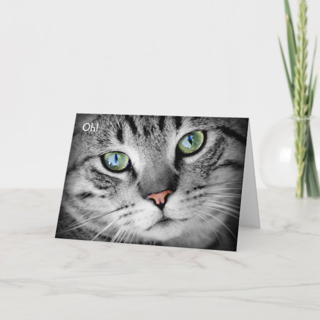 Bonne carte d'anniversaire : Chat dit "Oh !" (Devant)
