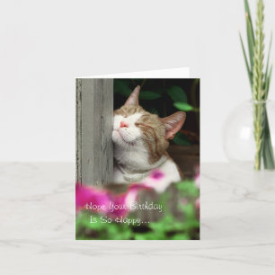Bonne carte d'anniversaire de chats