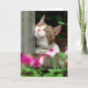 Bonne carte d'anniversaire de chats