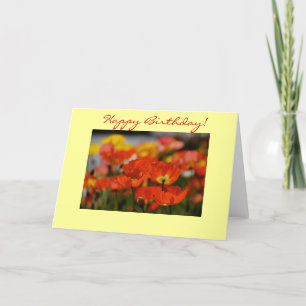 Bonne carte d'anniversaire du pavot