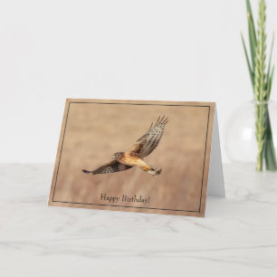 Bonne carte d'anniversaire Hawk de Harrier du Nord