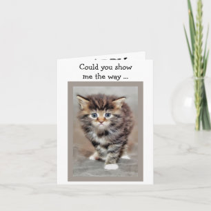 Bonne carte d'anniversaire : Kitten perdu