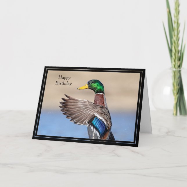 Bonne carte d'anniversaire Mallard Duck (Devant)
