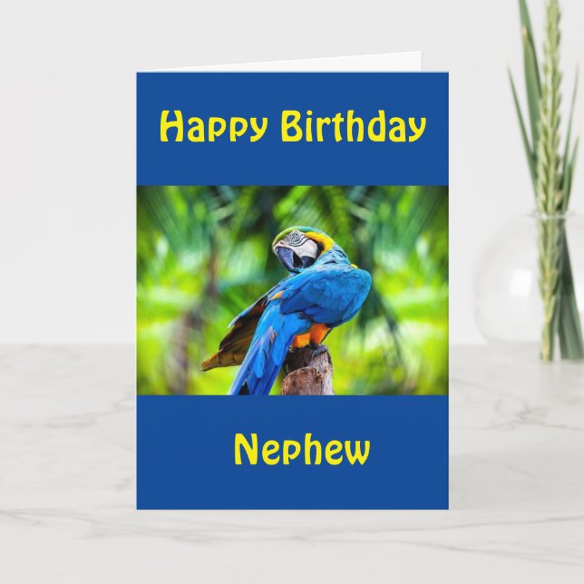 BONNE CARTE D'ANNIVERSAIRE "NEPHEW" (Devant)