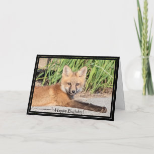 Bonne carte d'anniversaire Red Fox Kit