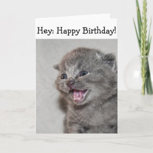 Bonne carte d'anniversaire : Surprised gris Kitten