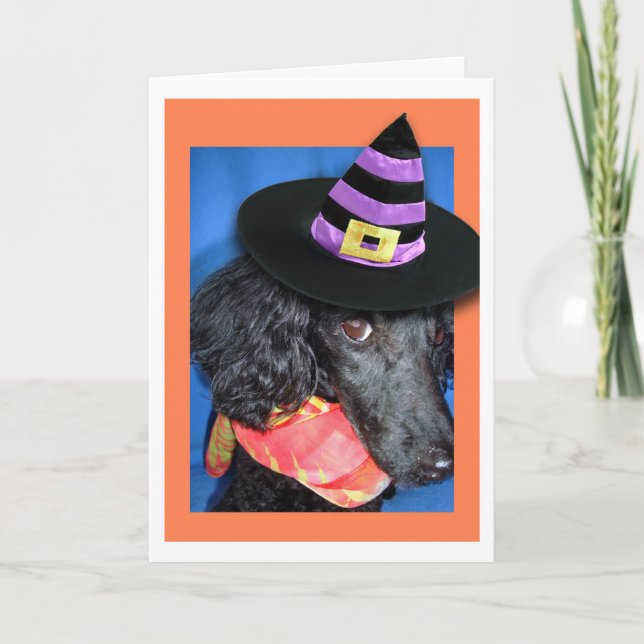 Bonne carte de caniche Casquette de la fête d'Hall (Devant)