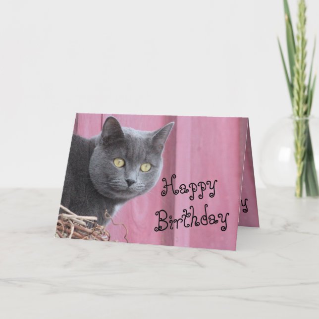 Bonne carte de chat Kitty Birthday (Devant)