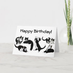 Bonne carte de chats Tuxedo Anniversaire
