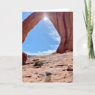 Bonne carte de chien de graduation | Lily le Carli