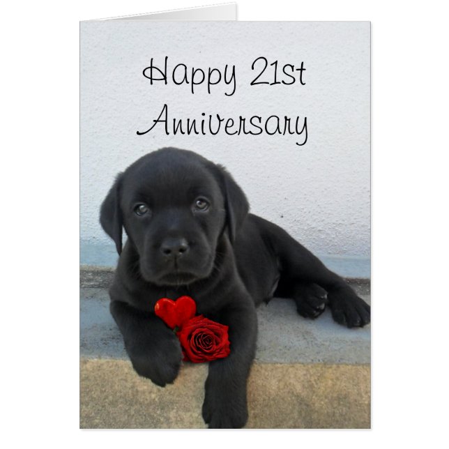 Bonne carte de chiot Labrador du 21e anniversaire (Devant)
