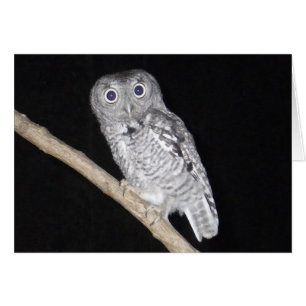 Bonne carte de hibou d'Halloween