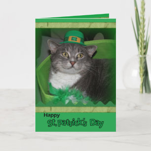 Bonne carte de la Saint Patrick avec chat