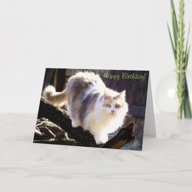 Bonne carte de linge Calico Maine pour anniversair (Devant)
