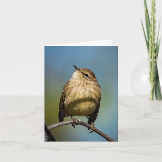 Bonne carte de voeux aux oiseaux (Devant)