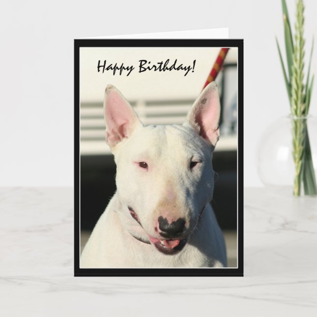 Bonne carte de voeux Birthday Bull Terrier (Devant)