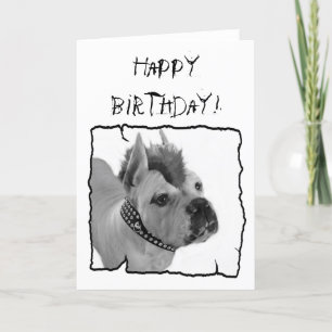 Bonne carte de voeux Birthday White Boxer Punk