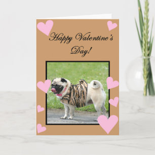 Bonne carte de voeux Carlin de Valentine