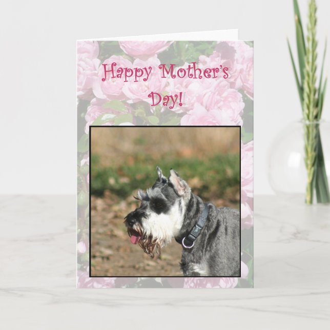 Bonne carte de voeux chien Schnauzer Fête des Mère (Devant)