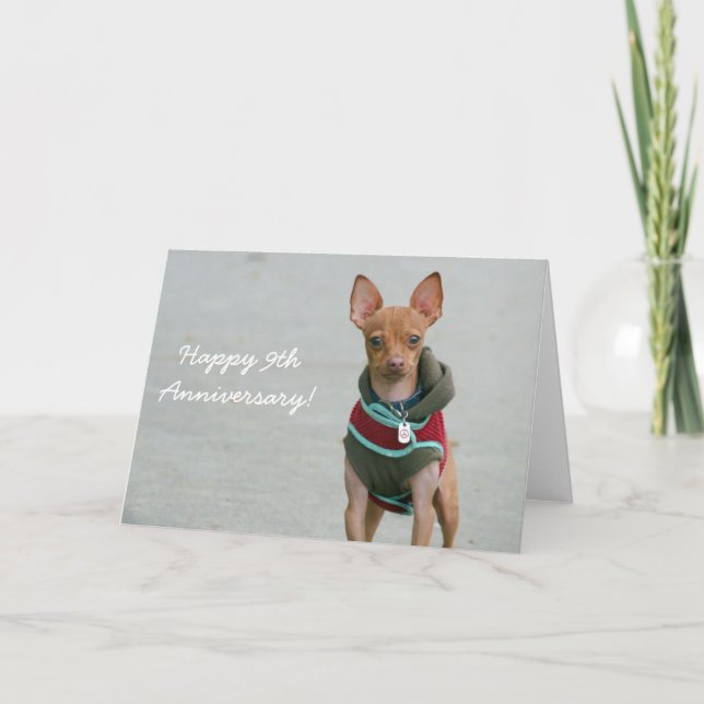 Bonne carte de voeux chihuahua 9e anniversaire (Devant)
