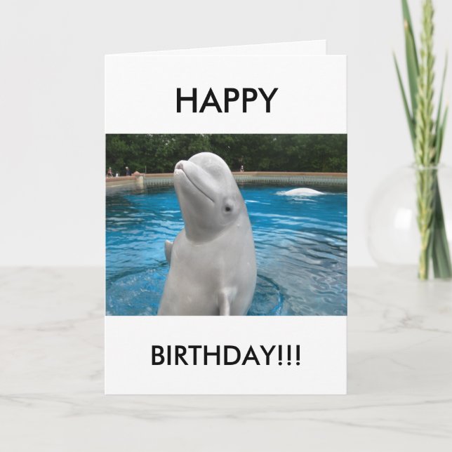 BONNE carte de voeux d'anniversaire avec Beluga Wh (Devant)