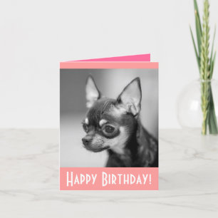Bonne carte de voeux d'anniversaire Chihuahua Chio