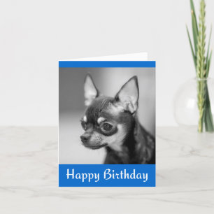Bonne carte de voeux d'anniversaire Chihuahua Chio