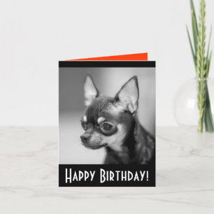 Bonne carte de voeux d'anniversaire Chihuahua Chio
