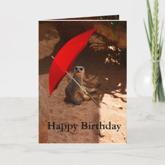 Bonne carte de voeux d'anniversaire Meerkat