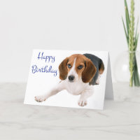 Bonne carte de voeux de Chien Chien Beagle d'anniv