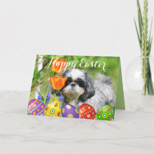 Bonne carte de voeux de Pâques Shih Tzu Girl