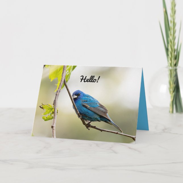 Bonne carte de voeux de printemps (Devant)