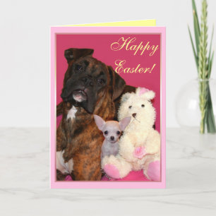Bonne carte de voeux Pâques Boxer et Chihuahua