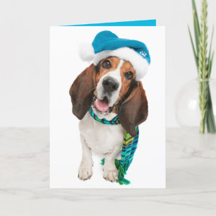 Bonne carte de voeux Pawliday