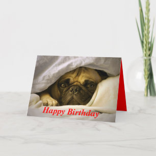 Bonne carte de voeux pour Carlin d'anniversaire Ch